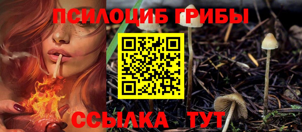 Галлюциногенные грибы Cubensis Губаха